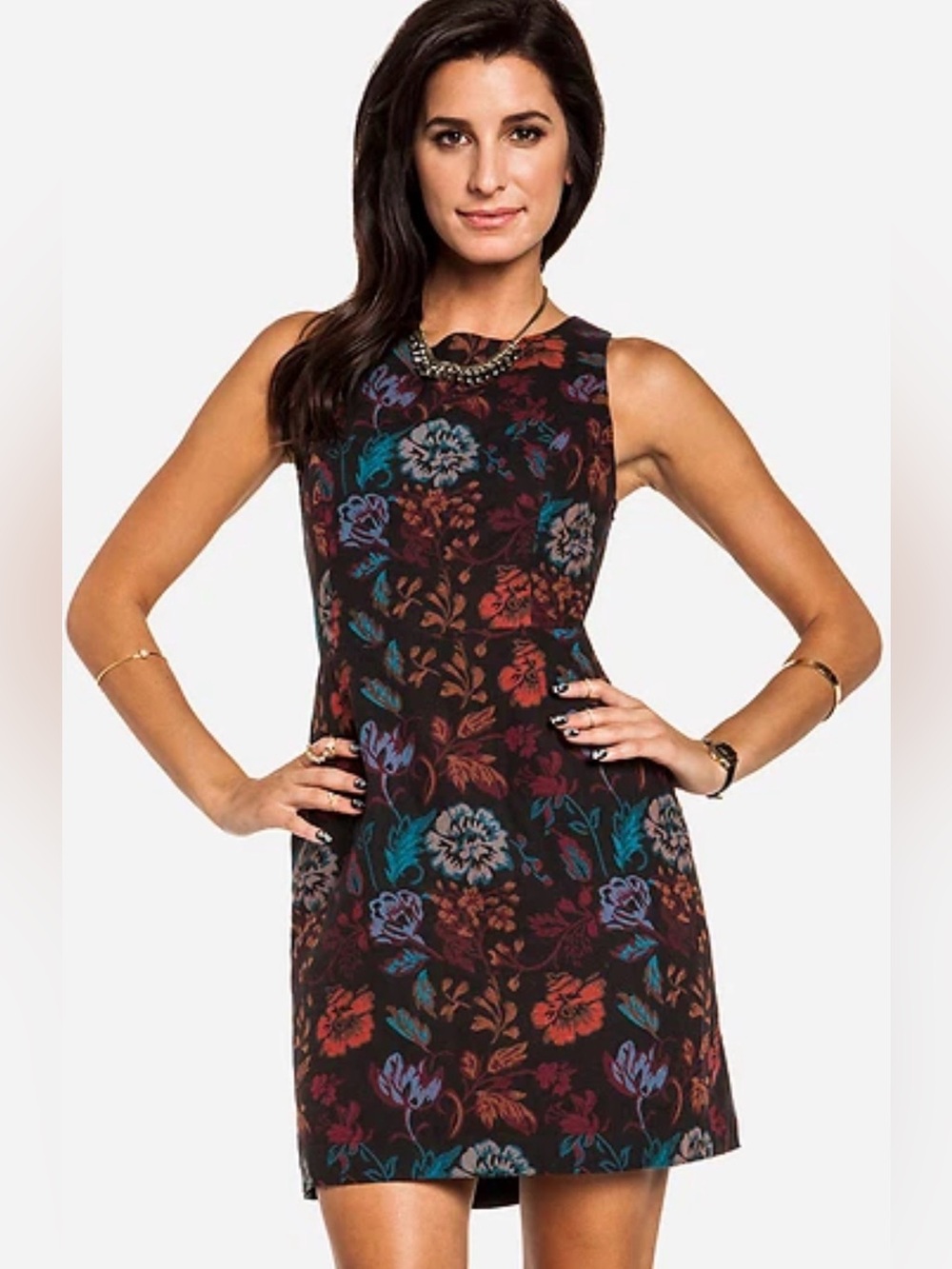 BB Dakota Size 4 Floral Tapestry Mini Dress Back Cutout Cotton Lined Fall